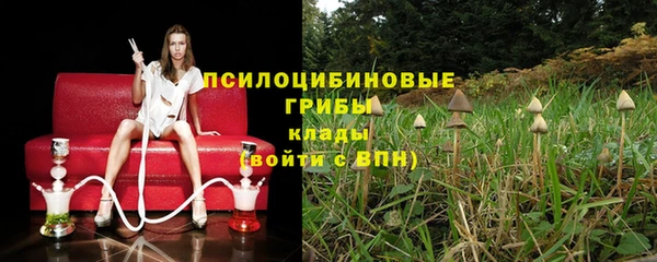 молекула духа Алзамай