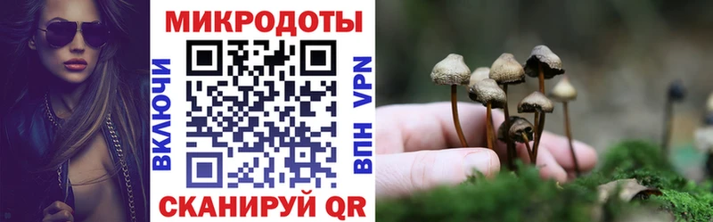 Галлюциногенные грибы MAGIC MUSHROOMS  где продают   Назрань 